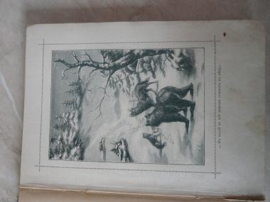 В дебрях Севера. (Приключение волка, медведя и лисицы), иллюстрированный.1895 года
