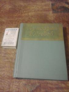 Из поэзии 20-х годов