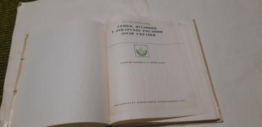 Гриби, ягідники і лікарські рослини лісів України