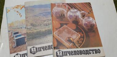 Комплект журналов Пчеловодство 1978