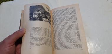 По вогонь. Печерний лев.