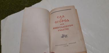 Сад и огород на приусадебном участке