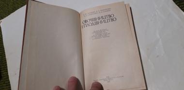 Овочівництво і плодівництво