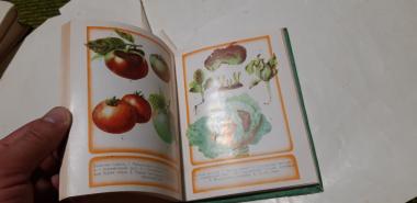 Справочник овощевода-любителя Степи Украины