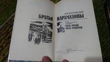 Братья Карамазовы. В двух книгах