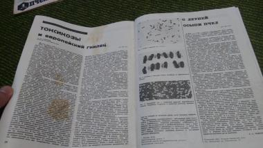 Журнал Пчеловодство 1972 №2