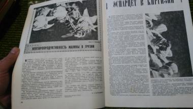 Журнал Пчеловодство 1973 №7