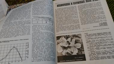 Журнал Пчеловодство 1973 №5
