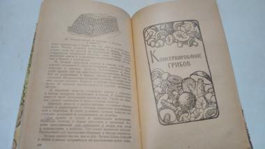 Консервирование плодов, овощей и мяса в домашних условиях