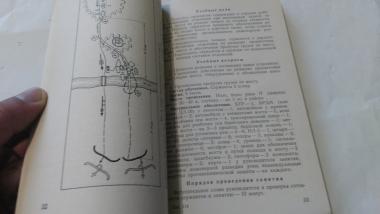 Методика тактико-специальной подготовки сержантов инженерных войск