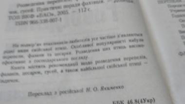 Розведення перепелів, фазанів, цесарок, індичок, гусей