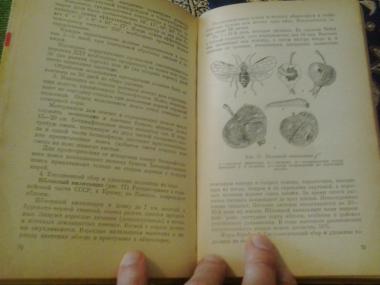 Борьба с вредителями и болезнями плодовых, ягодных и овощных культур
