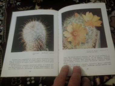 Книга о кактусах 