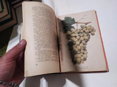 Настольная книга виноградаря 