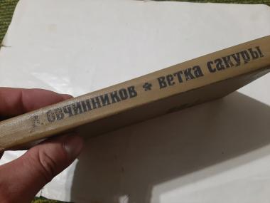 Ветка сакуры