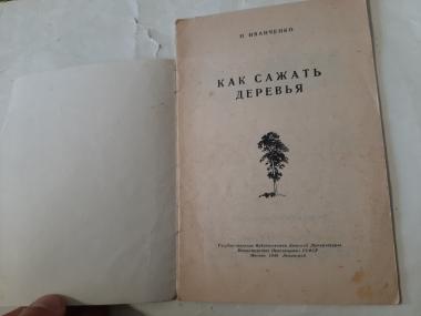 Как сажать деревья