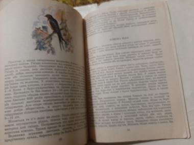 Пізнай і полюби. Довідник юного орнітолога