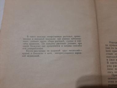 Лекарственные растения и способы их применения в народе 