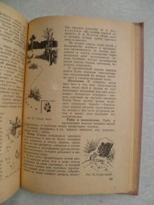 Ознакомление дошкольников с природой .