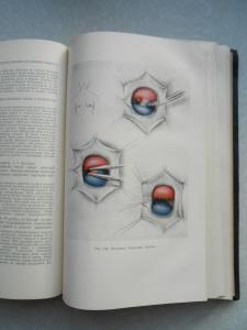Клинические очерки оперативной хирургии
