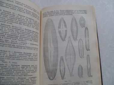 Определитель пресноводных водорослей СССР.Выпуск 4. Диатомовые водоросли.