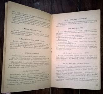 Програма з курсу &quot;Геологія&quot; для географічного факультету педагогічних інститутів