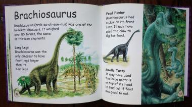 Dinosaurs