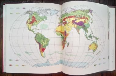 Растительный мир Земли. В двух томах