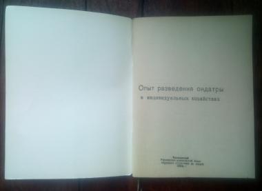 Опыт разведения ондатры в индивидуальных хозяйствах