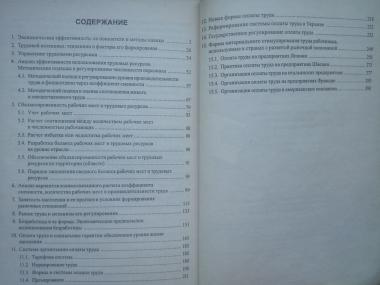 Организация и оплата труда в условиях рынка (аспект эффективности): Учебное пособие