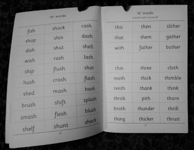 Jolly Phonics Word Book