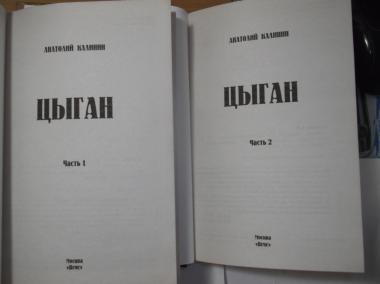 Цыган. В 2 томах. Серия Душевные истории - любимые герои. Новые